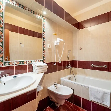 Otel Sorea Hutnik