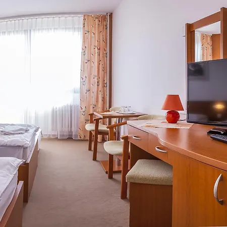 Sorea Hutnik I. Hotel