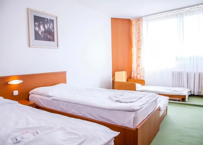 Sorea Hutnik Hotel 3*